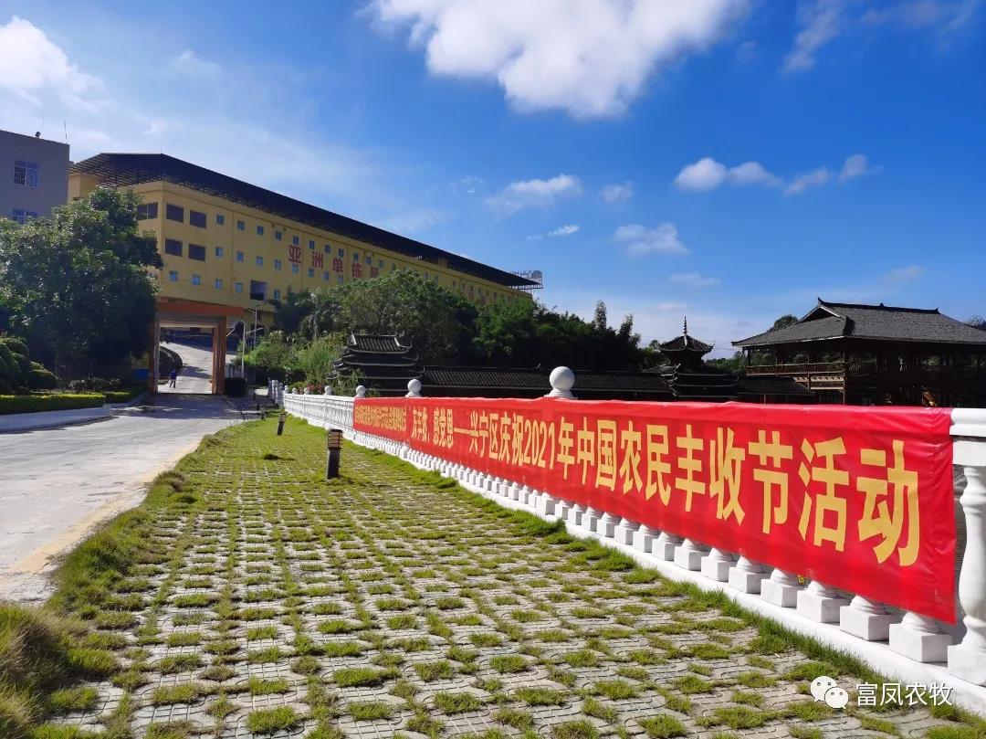 广西大众娱乐-娱乐大众集团有限公司